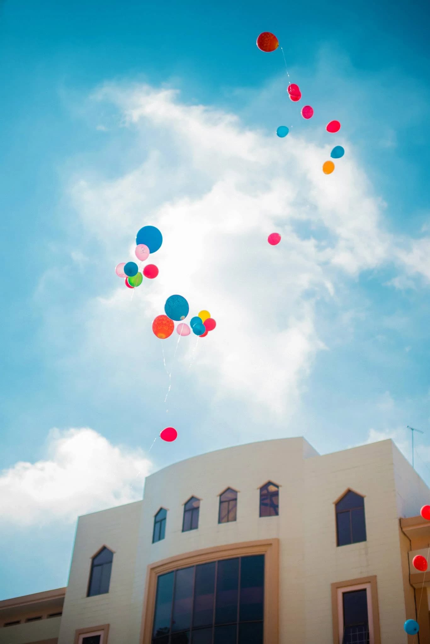 Một buổi sáng, 2013